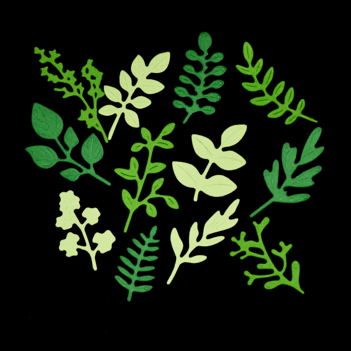 Green leaf and botanical sprig die cuts arranged on a black background for card making and papercraft