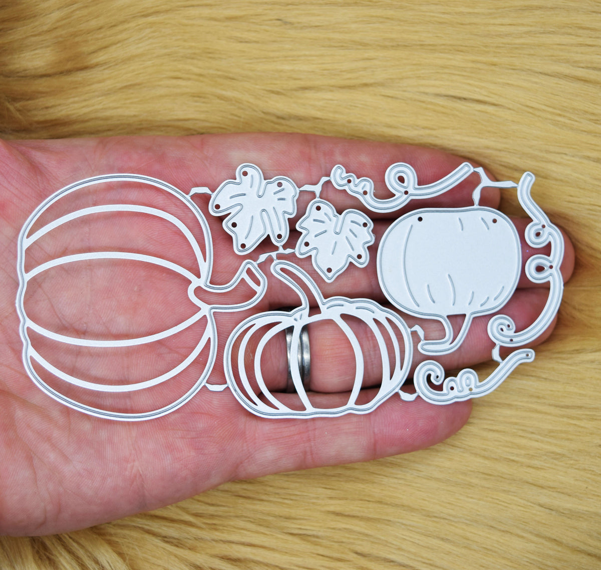 Pumpkin, leaves and vine metal cutting dies held in hand to show the approximate size of the complete connected set.
